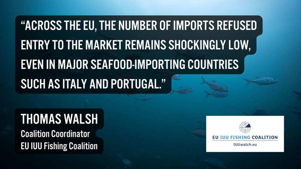 "Across the EU, the number of imports refused entry to the market remains shockingly low, even in major seafood-importing countries such as Italy and Portugal."

Thomas Walsh 
Coalition Coordinator
EU IUU Fishing Coalition
