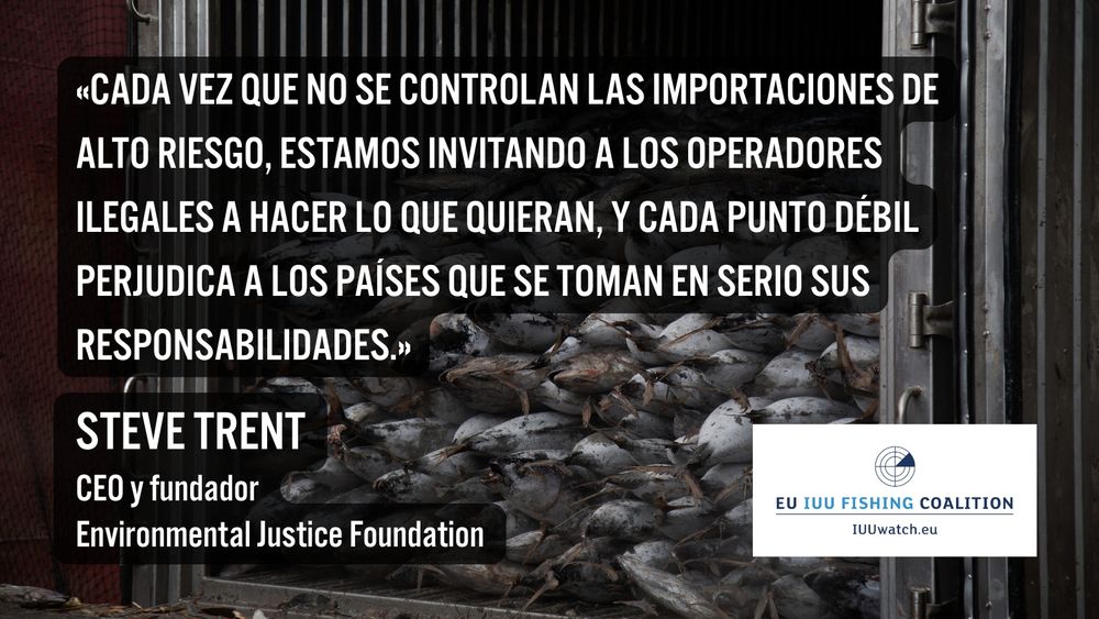 «Cada vez que no se controlan las importaciones de alto riesgo, estamos invitando a los operadores ilegales a hacer lo que quieran, y cada punto débil perjudica a los países que se toman en serio sus responsabilidades».

Steve Trent
CEO y fundador
Environmental Justice Foundation