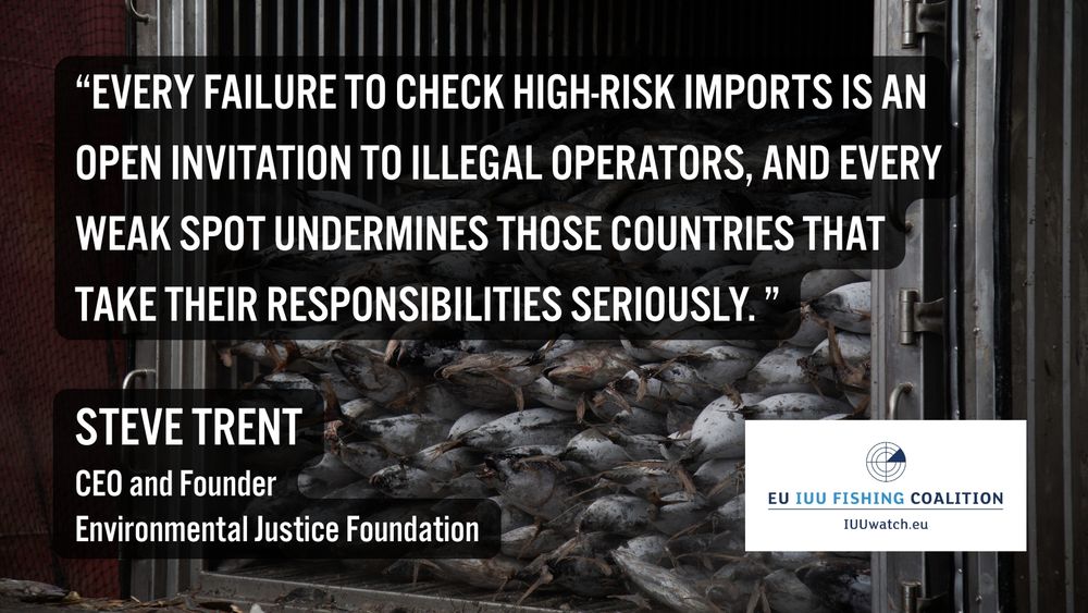 "Every failure to check high-risk imports is an open invitation to illegal operators, and every weak wpot undermines those countries that take their responsibilities seriously."

Steve Trent
CEO and Founder
Environmental Justice Foundation