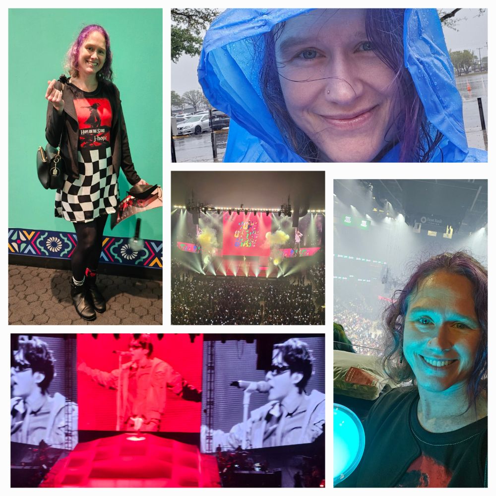 Collage of me in my concert fit with black and white checked dress and red HOTS top, pic in blue rain poncho, view of stadium from level 2 seats, Hobi on stage with red fit and lighting, me with my army bomb. 