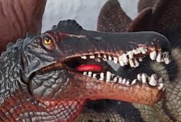 Der Spino fühlt es aber so richtig!