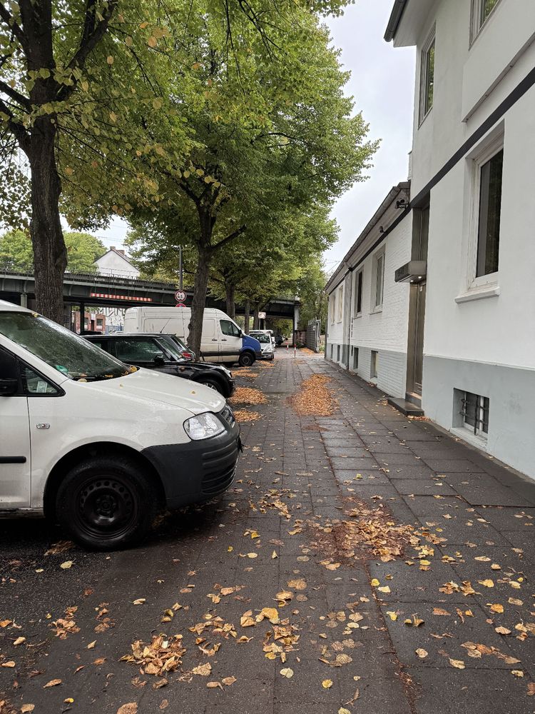 Ein Radweg entlang einer Häuserreihe, gesäumt von Bäumen. Auf dem Radweg stehen parkende Autos, sodass er blockiert ist. Herbstlaub liegt verstreut auf dem Boden.