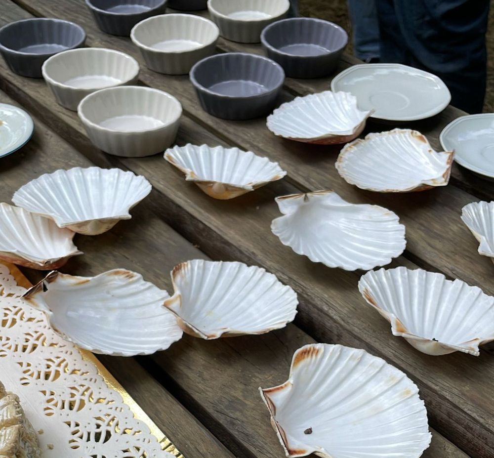 Coquilles St Jacques