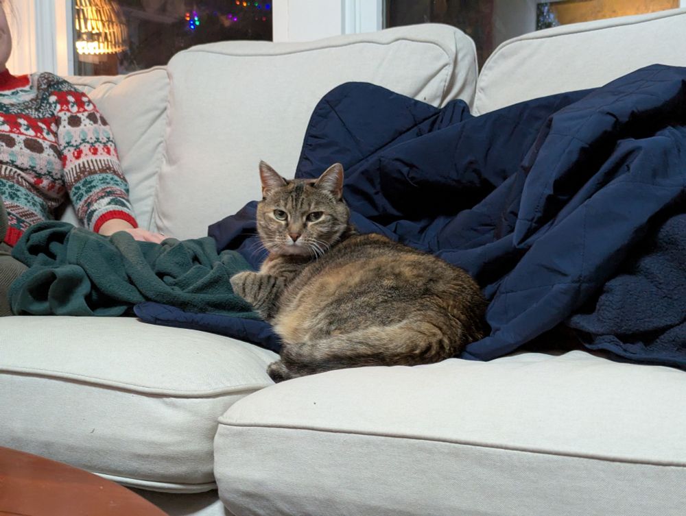 A tabby cat sitting in a pile of blankets on a white couch