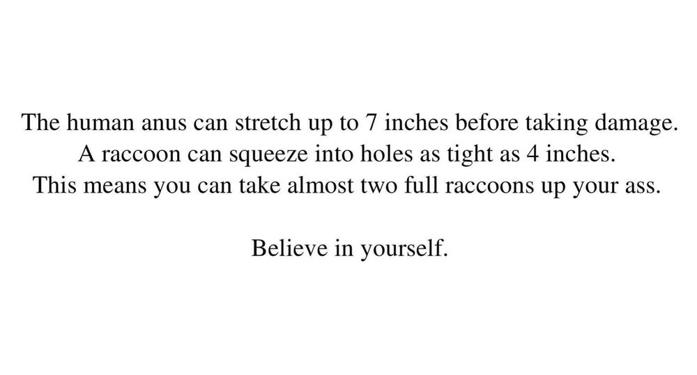 The human anus can stretch up to 7 inches before taking damage.  A raccoon can squeeze into holes as tight as 4 inches.  This means you can take almost two full raccoons up your ass.  Believe in yourself.