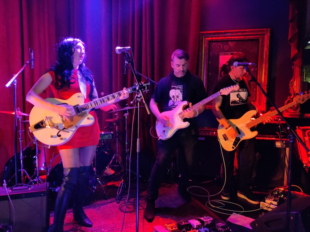 Emily Breeze and her band on stage at the Barrel House in Totnes.
