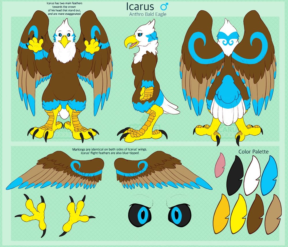 Icarus ref sheet