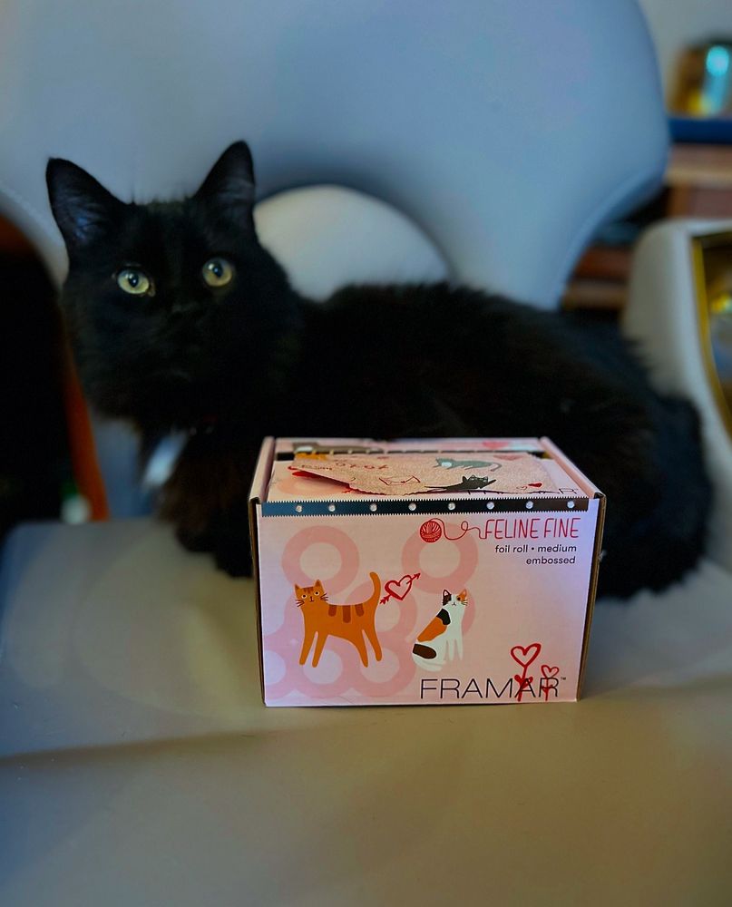 A black cat sits on a chair next to a pink box labeled “Framar Feline Fine,” which contains a foil roll with a cat-themed design. The cat has wide eyes and a fluffy coat.