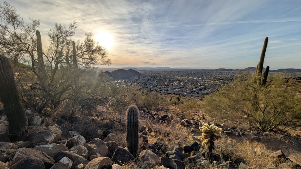 Photo of a rocky landscape with saguaro cactus, looking down from a hill to the tiny houses below.