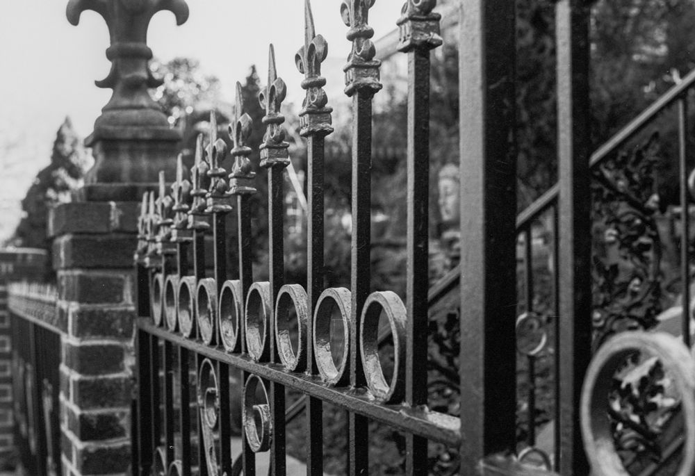 Black and white photo of a wrought iron fence with flour-de-lis topper on each post. 