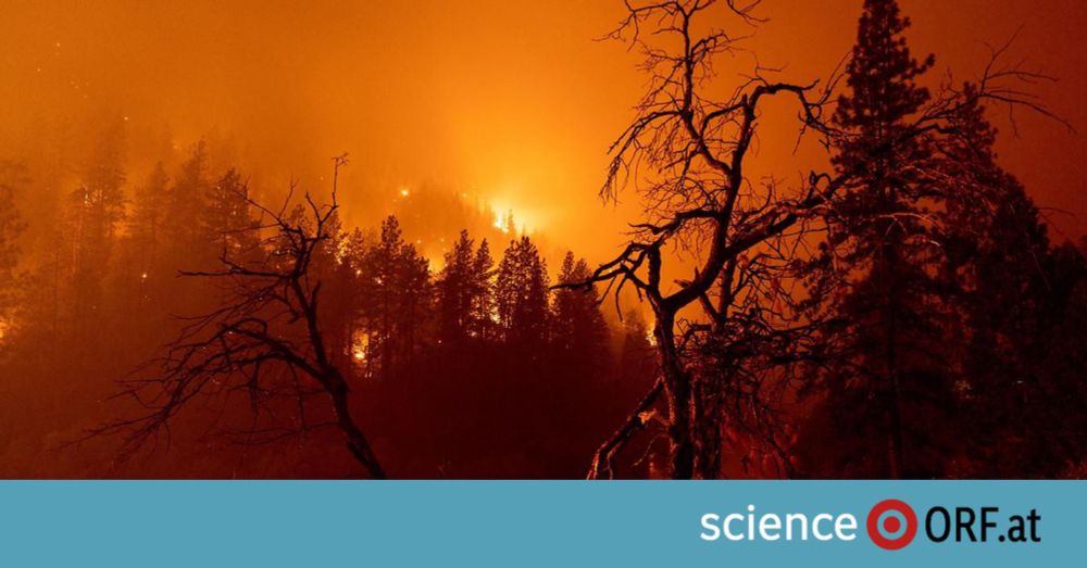 Eine neue Schnellanalyse zeigt, dass die Klimaerwärmung einen klaren Einfluss auf die heurigen Waldbrände im Mittelmeer-Raum gehabt hat. Die Fachleute warnen davor, dass Intensität und Häufigkeit dera...