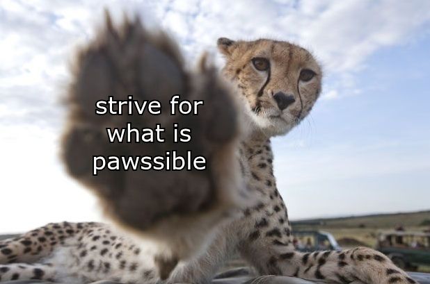 A photo of a seated cheetah in front of a cloudy blue sky. It has its paw extended toward the camera's eye, such that it is out of focus. On its paw is text reading, "strive for what is pawssible."
