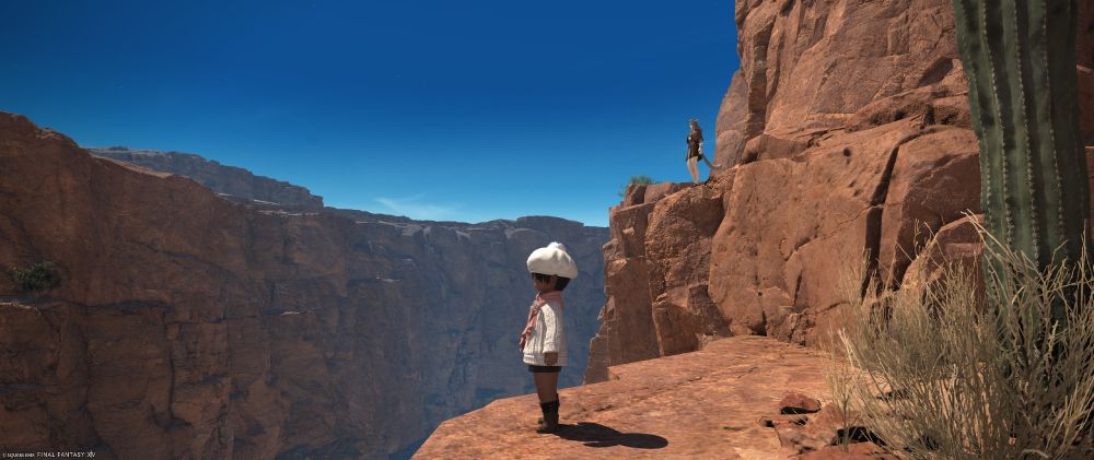 FF14のスクショ