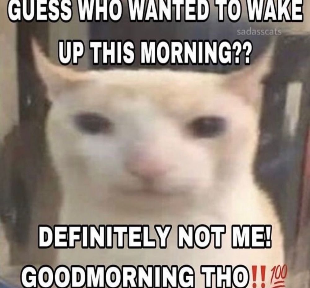 Meme de gato diciendo
GUESS WHO WANTED TO WAKE UP THIS MORNING??

DEFINITELY NOT ME!
GOODMORNING THO!! 💯🗣️