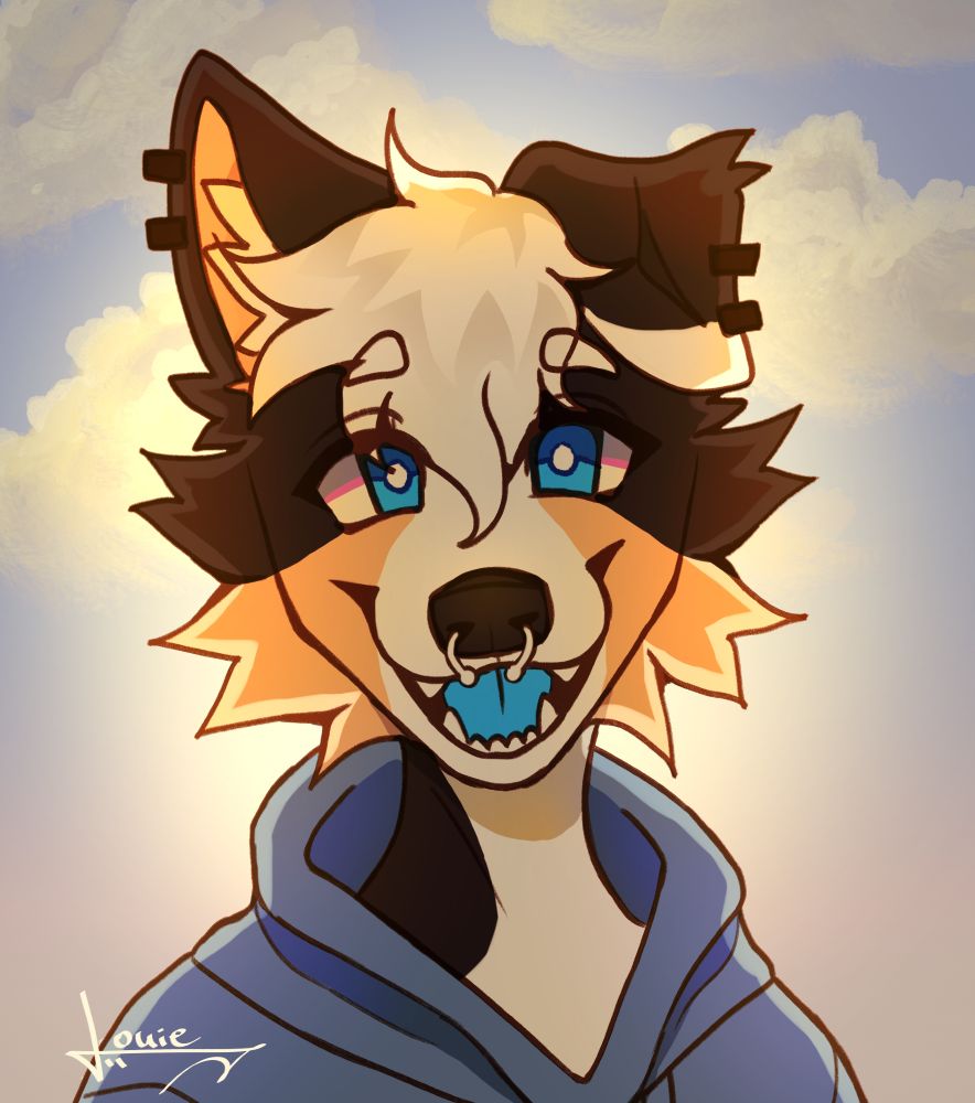 happy dog with a blue hoodie looking at the camera with a cloudy background