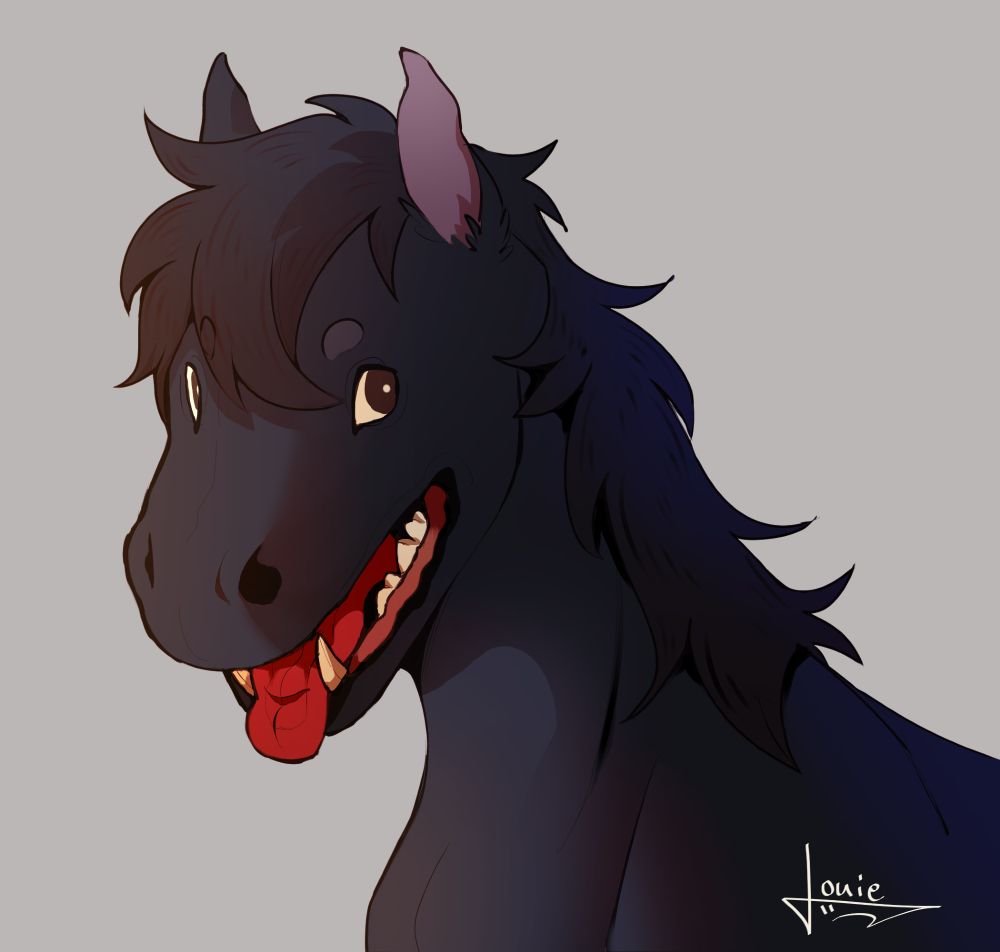 a happy black horse with a dog mouth.