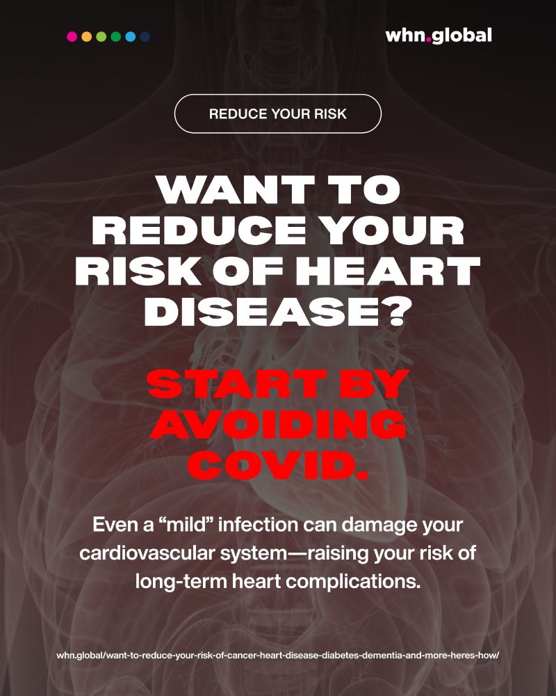 A public health awareness graphic from WHN (World Health Network). The background is a semi-transparent anatomical image of a human chest with visible ribcage and heart area, rendered in red and white tones, creating a medical and urgent atmosphere.

At the top left: a row of colorful dots (pink, red, green, light blue, teal, and dark blue).
Top right: whn.global (white text with a pink dot).
Below that, a button-like label: REDUCE YOUR RISK (white text inside a white-outlined capsule).

Centered bold white and red text reads:

WANT TO REDUCE YOUR RISK OF HEART DISEASE?
START BY AVOIDING COVID.

Subheading in smaller white text:

Even a “mild” infection can damage your cardiovascular system—raising your risk of long-term heart complications.

Bottom line in small white text (link):

whn.global/want-to-reduce-your-risk-of-cancer-heart-disease-diabetes-dementia-and-more-heres-how/
