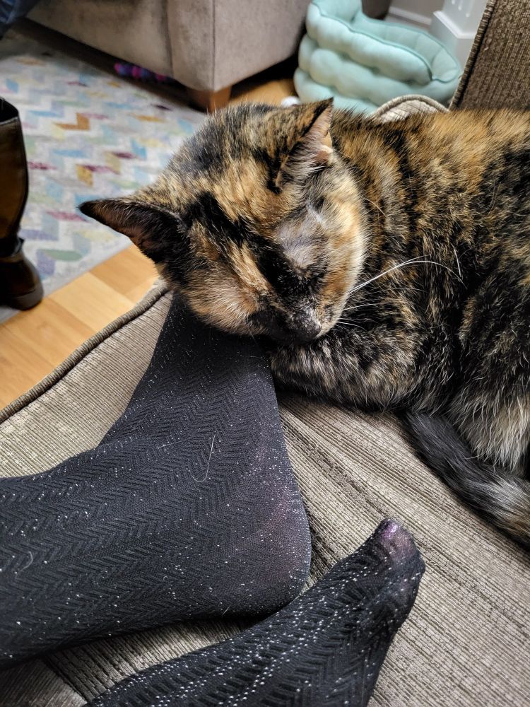 A tortie cat is sleeping on a couch, using a foot dressed in black sparkly tights as a pillow.