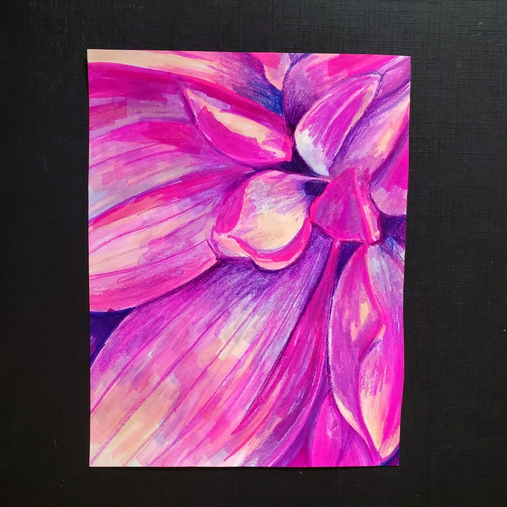 A drawing of a closeup dahlia, using alcohol markers and colored pencils in shades of pinks and purples