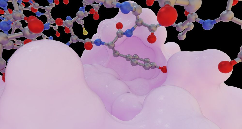 Rendering of the analytical SES of ribonuclease A (PDB ID 1DFJ) with the upcoming pathtracer prototype of VTX