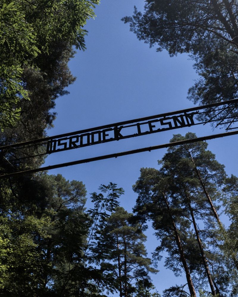 Widok jakby od dołu na napis na metalowej konstrukcji o treści "ośrodek leśny". Widoczne też błękitne niebo i dookoła różne drzewa iglaste oraz liściaste.