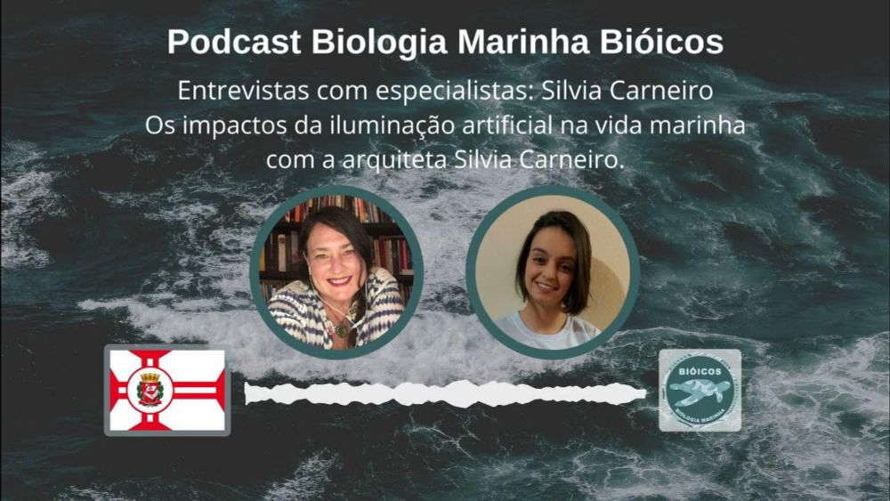 Entrevistas com especialistas - Silvia Carneiro #13
