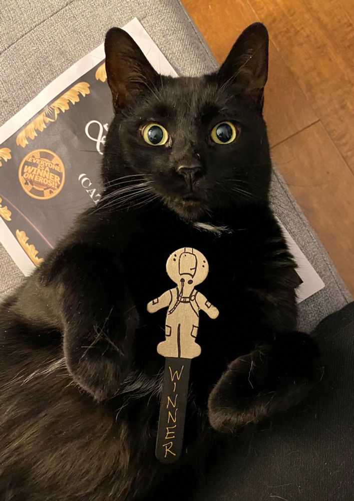 The black cat from the previous posts, now without his costume, relaxed on his back in “scratch my belly please” pose. Between his paws is a handmade bookmark shaped like a person in a space suit. It reads “winner” in gold marker. Underneath the cat, a winning certificate is barely visible. 