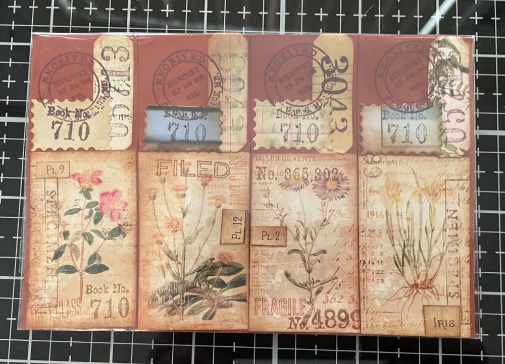 Mixed media botanical images of flowers, with stamps on them in a plastic sleeve.