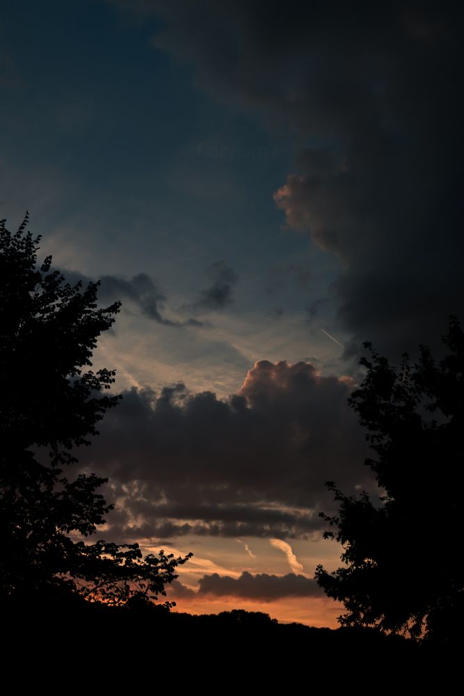 Vertical photograph of the sunset sky with several clouds in it. At the horizon is the silhouette of a tree line, and from the left and right is respectively one tree looming into the photo. The colours in the sky are orange and blue. 
