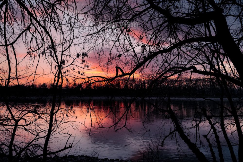 Capture of a river, taken through the bare branches of trees and bushes. In the background is the cloudy sky, with red and orange tones in it.