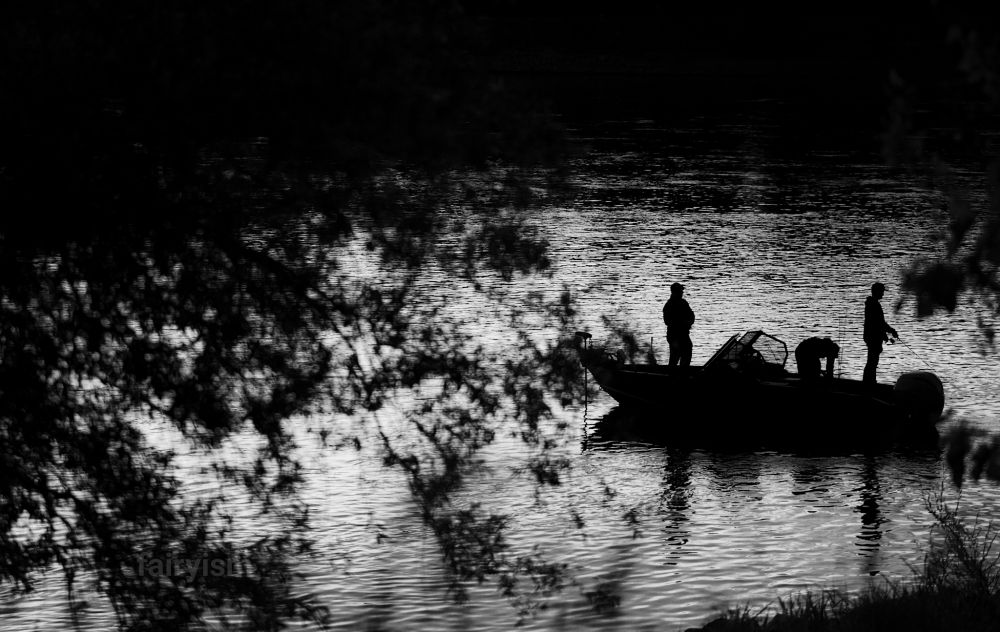 Black and white photograph of the silhouette of a boat in a river with three fishermen on it. From the left side of the photo are the branches and leaves of a tree looming into the photo. 