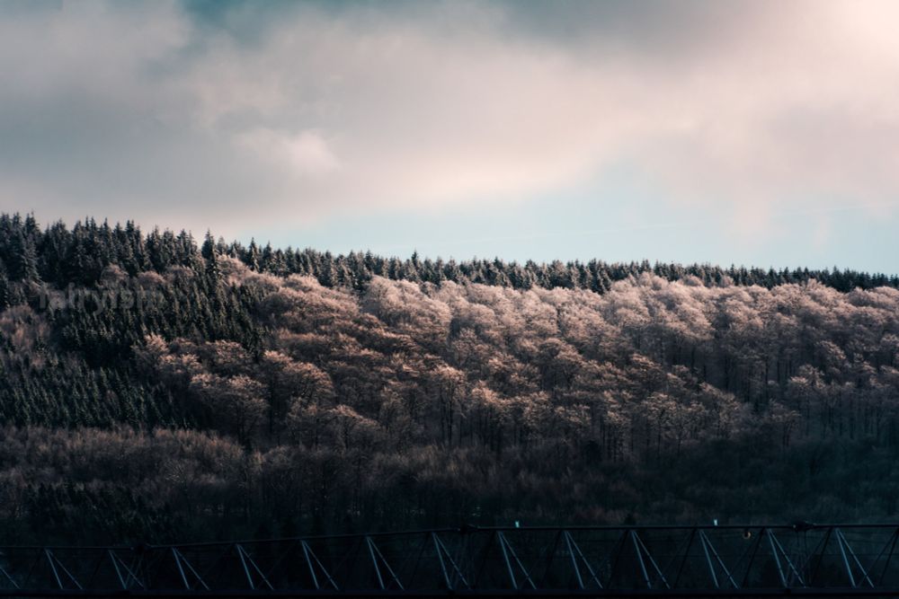 Photograph of a part of a mountain range with trees covered in soft snow, captured against the cloudy sky. At the bottom of the photo, in the foreground, is a crane, creating a little frame. 