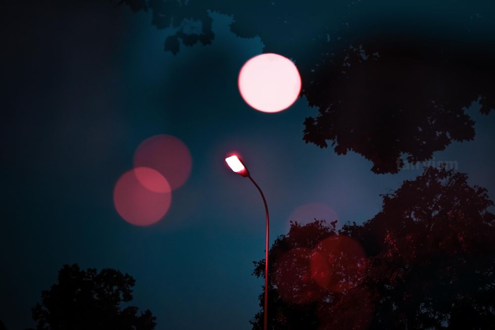 Photograph of a street lantern at night, surrounded by the black silhouettes of trees. There are little red bokeh lights in the photo.