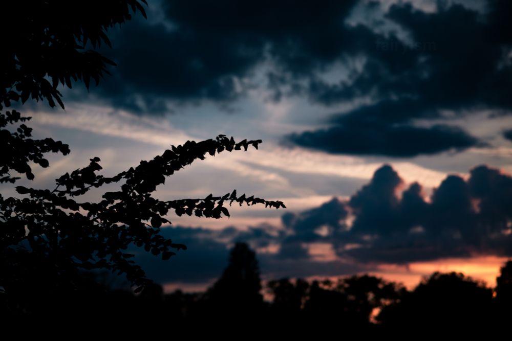 Photograph of the sky during sunset with dark and heavy clouds in it. On the horizon is a row of trees, and from the left side are the silhouettes of small branches covered in leaves looming into the photo. The colours in the sky are orange and dark blue / teal.