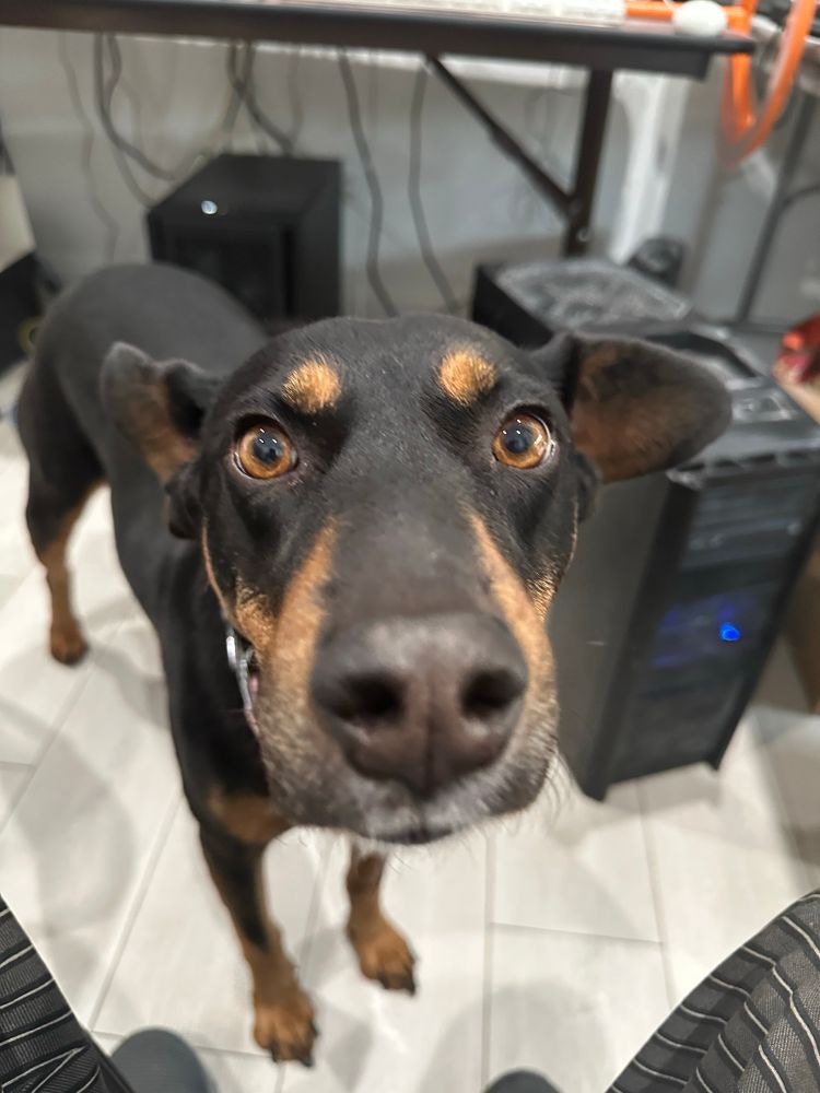 Picture of Zoe