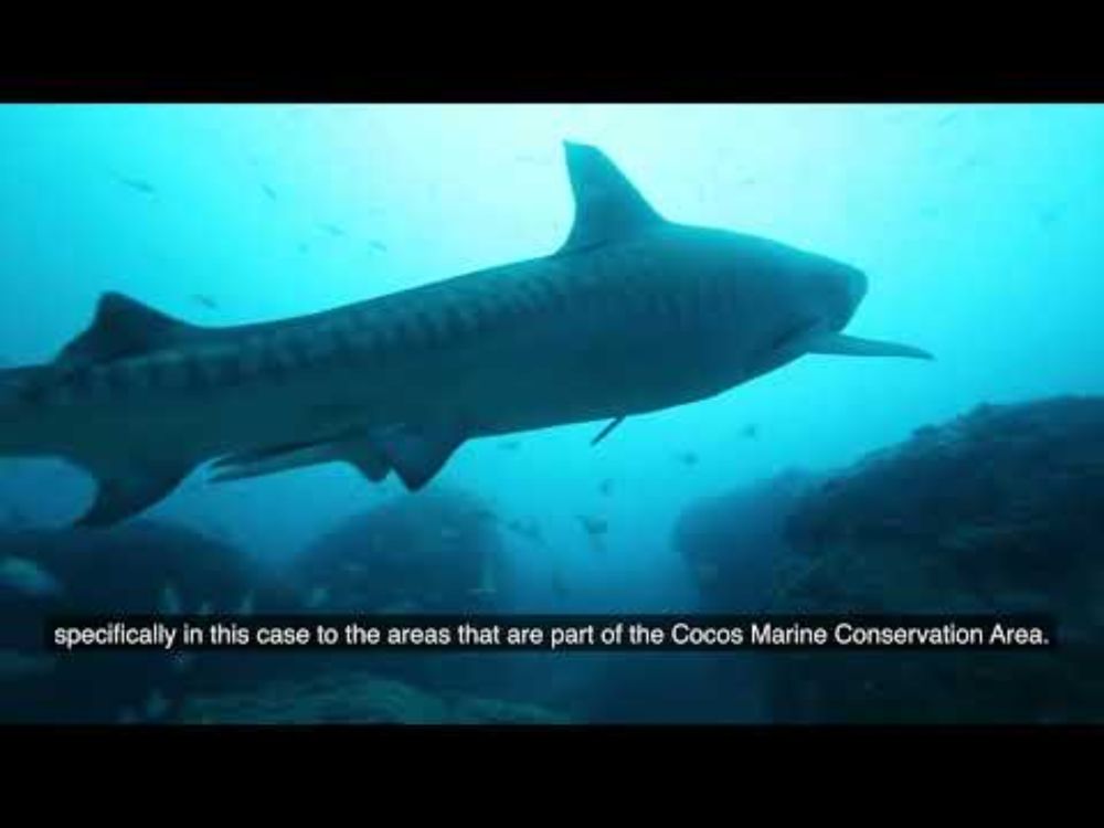 Expedición a los montes submarinos