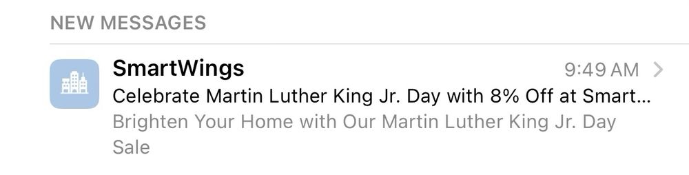 Screenshot of an email that says “Celebrate Martin Luther King Jr. Day with 8% Off at SmartWings!”