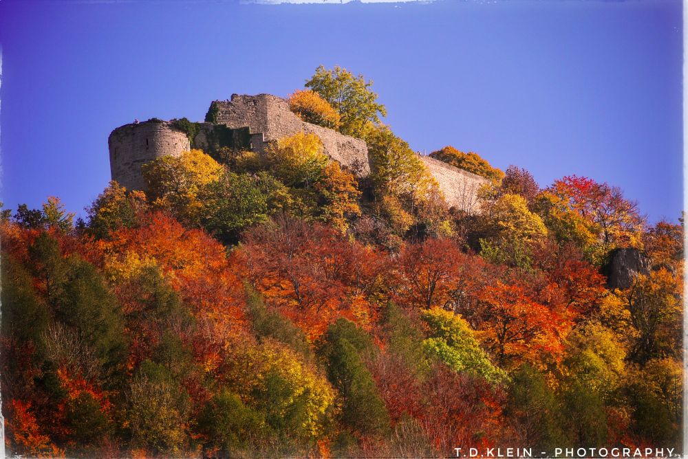 picture of a ruined castle, proudly sitting high on the ridge of a mountain, framed by the splendid colours of an autumnal forest, a bright blue, cloudless sky above