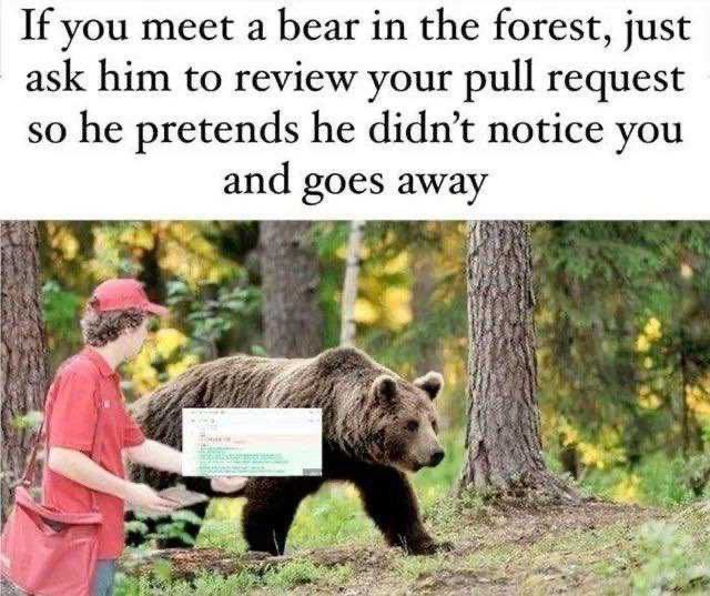 Man near bear in forest with text “If you meet a bear in the forest, just ask him to review your pull request so he pretends he didn't notice you and goes away”