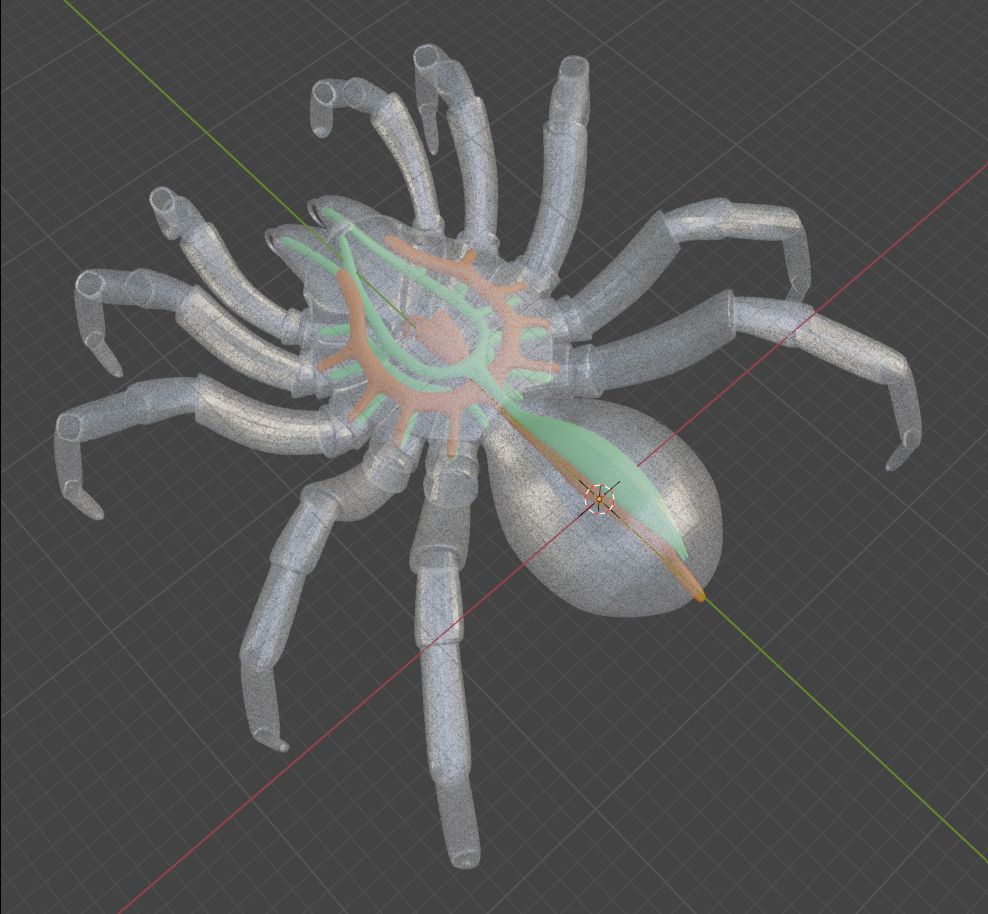 Screen shot of a 3d model of a spider. It's body is translucent, showing some internal organs; the digestive system in orange and the circulatory system in green. 