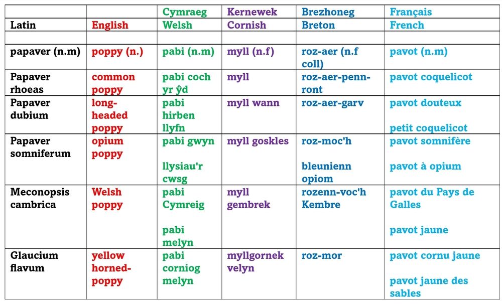 I'd guess #Cornish: 'myll' ("poppy") is cognate with the older/dialect #Welsh: word ("millyn") for the plant 'violet' ( #Kernewek: melion n.coll "violet"). These words probably have a connection with the words for "clover":

#Kernewek: mellyonen
#Cymraeg: meillionen
#Brezhoneg: melchon
#langsky