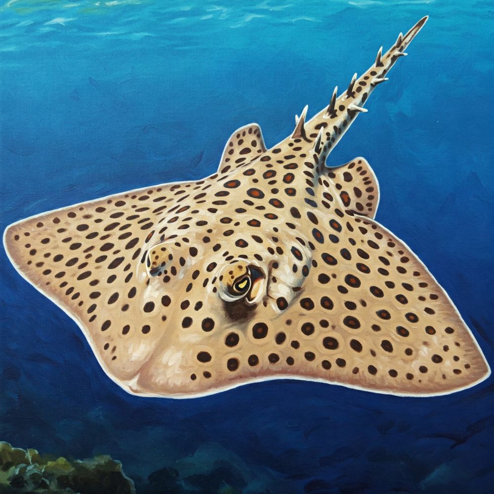 An AI generated image of a large skate with spotted pattern and tiny prickly spines all over its upper surface.