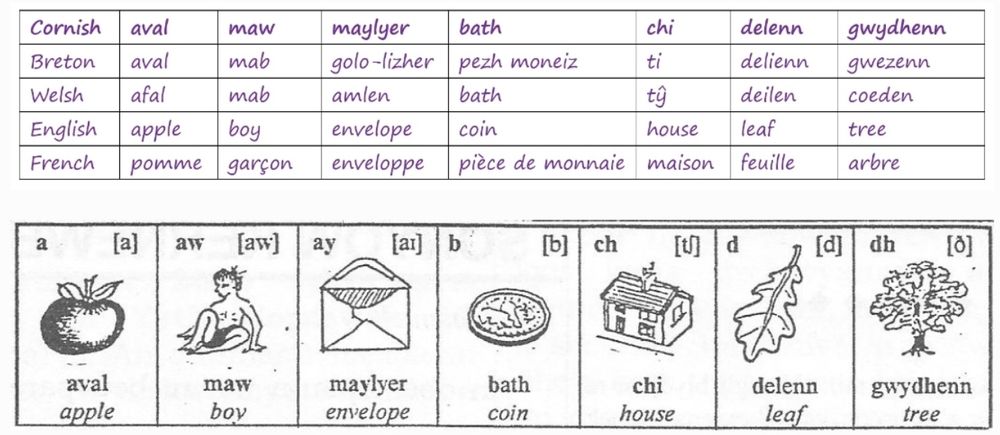 Sonyow Kernewek
Sounds of Cornish (language)

AVAL
MAW
MAYLYER
BATH
CHI
DELENN
GWYDHENN

#Cymraeg
#Brezhoneg
#Breton
#Kernewek
#Welsh
#Cornish
#langsky