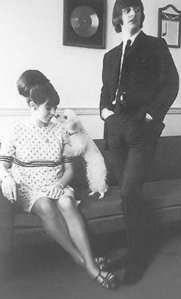Left, a pretty lady in a spotted minidress sits on a sofa with her mini poodle. Centre, a man stands with his hands in his pockets, looking away from the woman and dog.