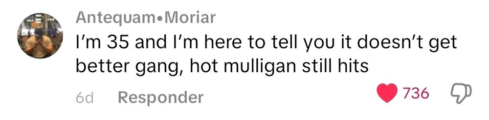 print de comentário no tiktok: "I’m 35 and I’m here to tell you it doesn’t get better gang, hot mulligan still hits"