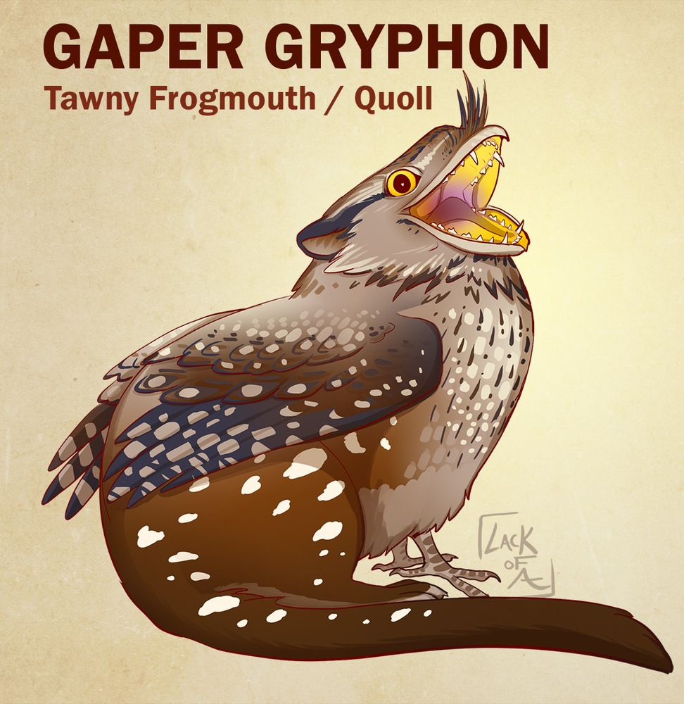 a gryphon with a wide open mouth of a tawny frogmouth, and the spotty back end of a quoll
