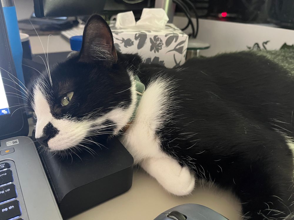 A black and white cat resting his head on a computer dock