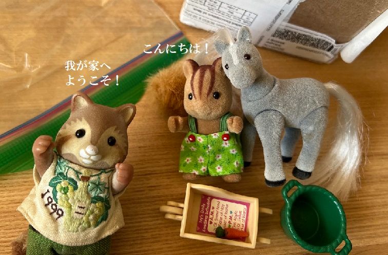 hashi(ハシ): 