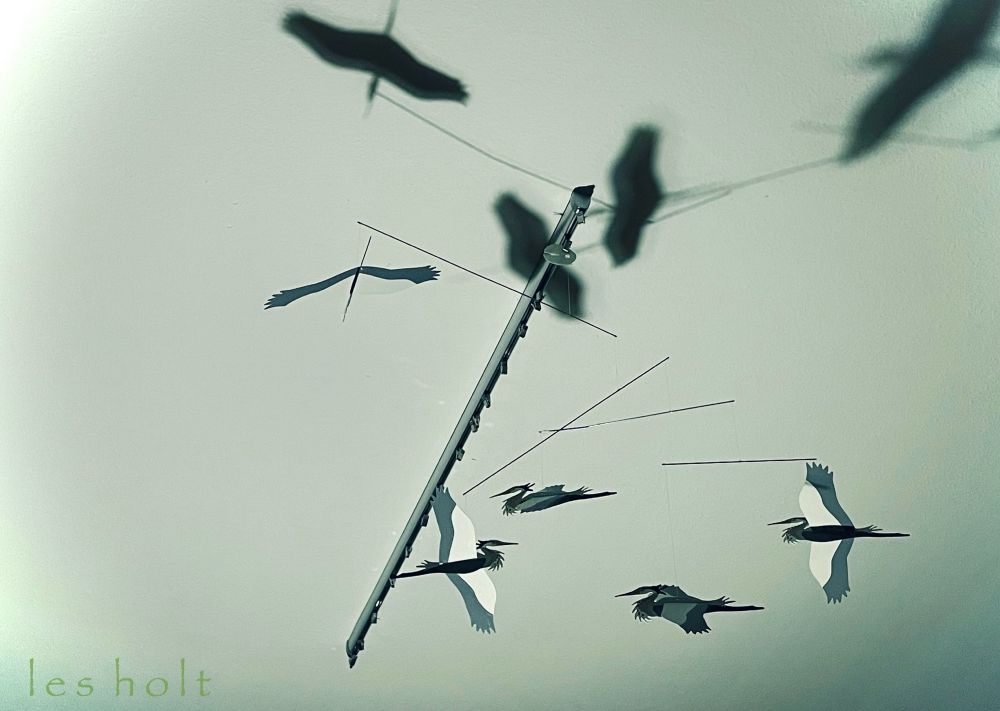 “Mobile”
A ceiling installation of a mobile of five Great Blue Herons, cardboard cutouts, drawn and painted, suspended on very delicate string, thin wire. Some look like ink squiggles in shadow bas relief in the light bouncing off the ceiling. Calming, ethereal.
— A gift from Wadmalaw Island, SC