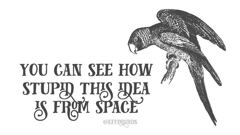 B/W Effin’ Bird of a parrot  with the words “YOU CAN SEE HOW STUPID THIS IDEA IS FROM SPACE”